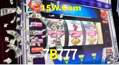 Sistemas de Segurança 7B777